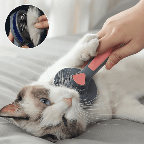 Hair Remover Brush for Pet