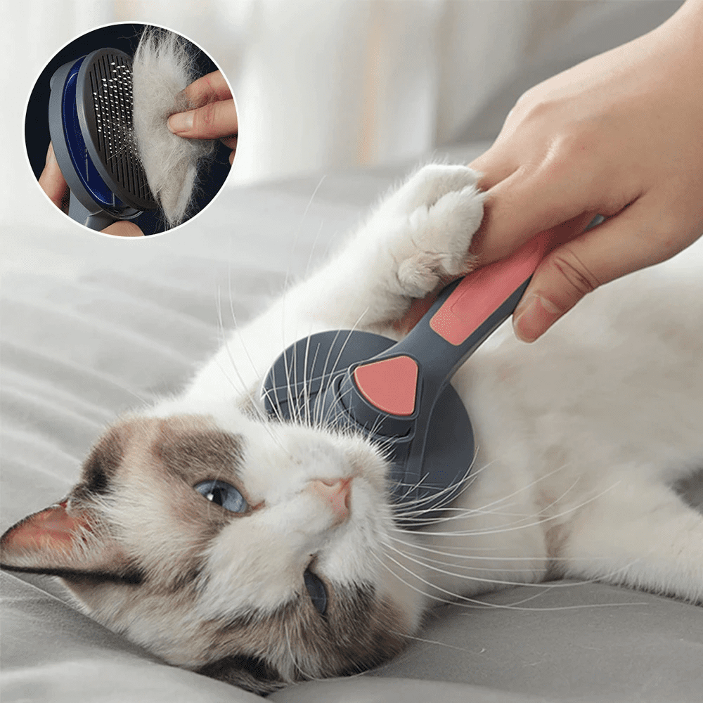Hair Remover Brush for Pet